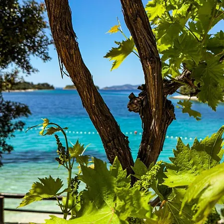 Kula View Apartment *