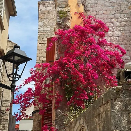 아파트 Kula View *