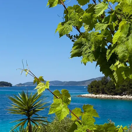 Kula View * 트로기르