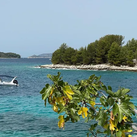 Kula View * Trogir