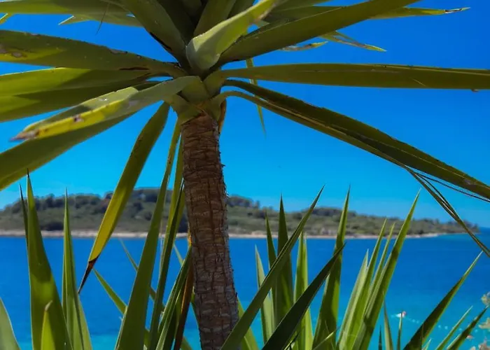 Kula View Appartement Trogir