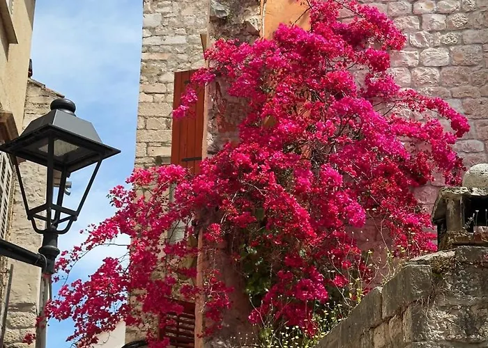 Appartement Kula View *